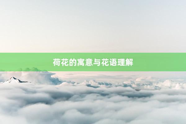 荷花的寓意与花语理解
