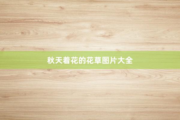 秋天着花的花草图片大全